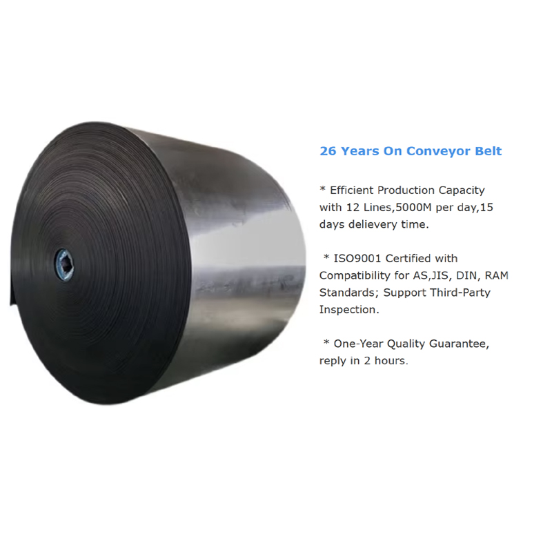 Flat nylon conveyor belt
